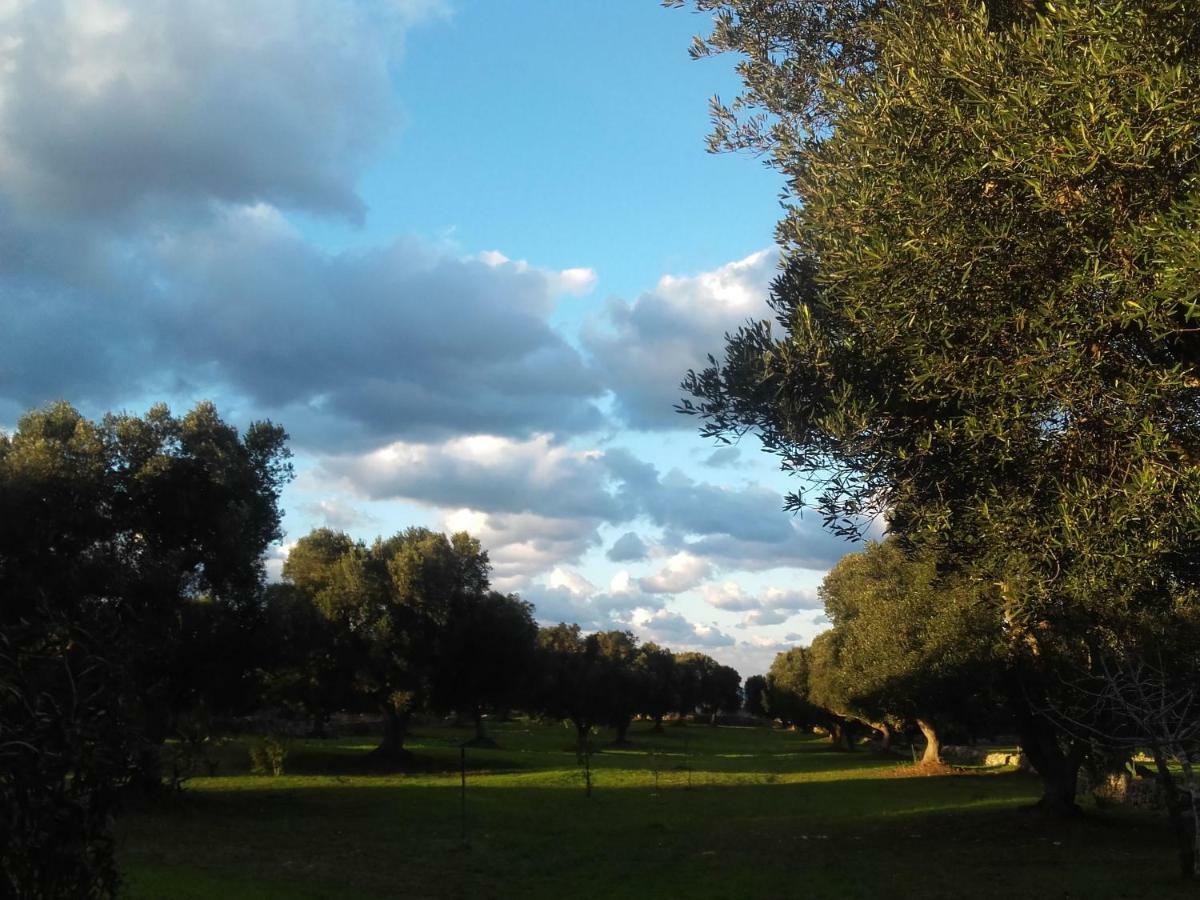 Vila Sol Invictus Est Serranova Exteriér fotografie