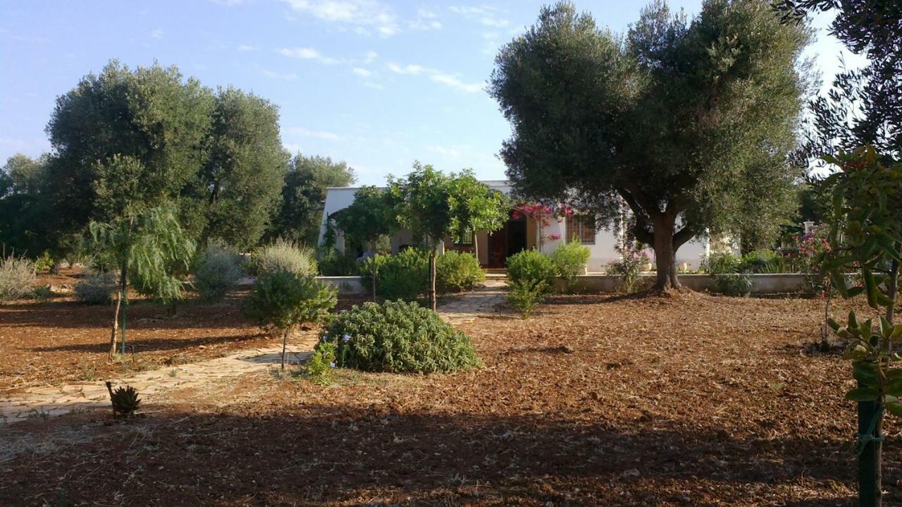 Vila Sol Invictus Est Serranova Exteriér fotografie