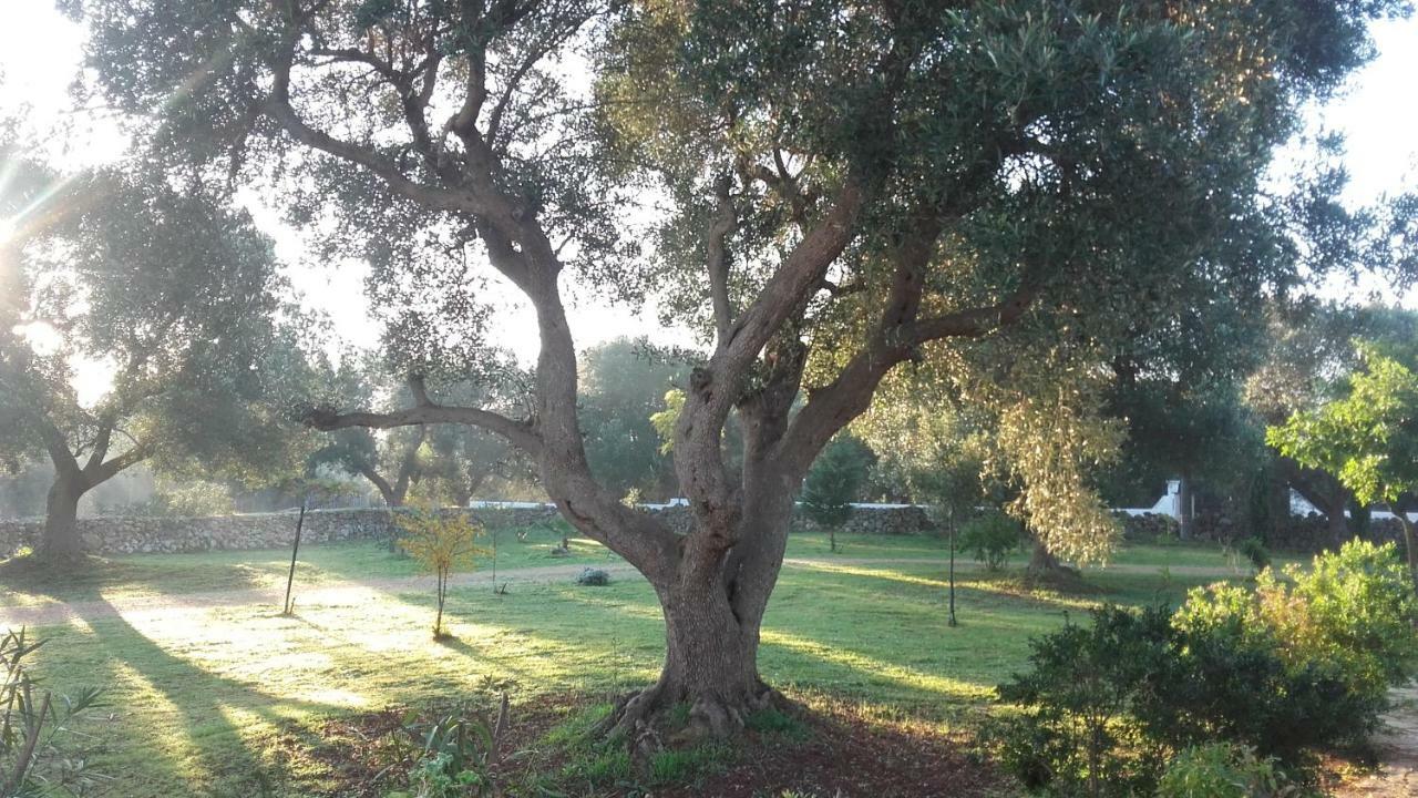 Vila Sol Invictus Est Serranova Exteriér fotografie
